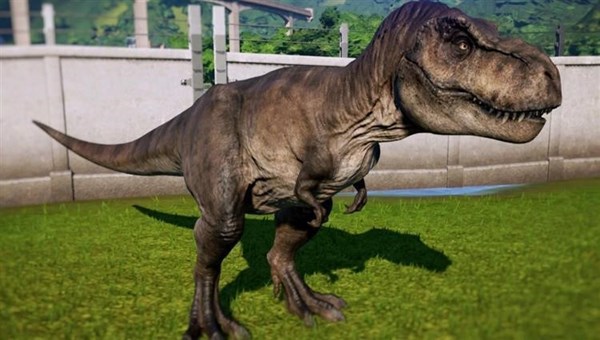 ������ ��� ���� �� ����������� �� ������� ��������