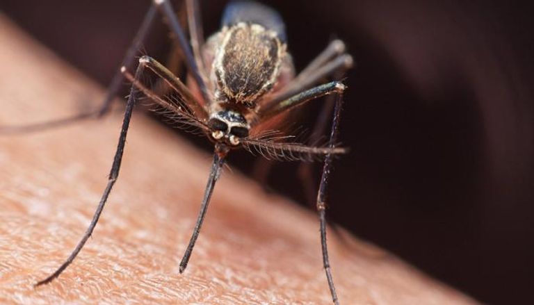 ���� ���� ����� ���� ����� ������ ���� �������� �������