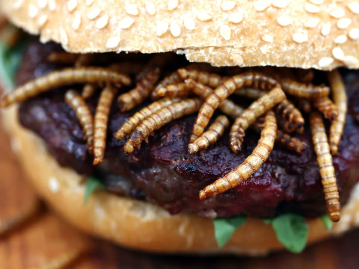 ���� �� �������� �������� ��������� �Milka �M & Ms� �� �����