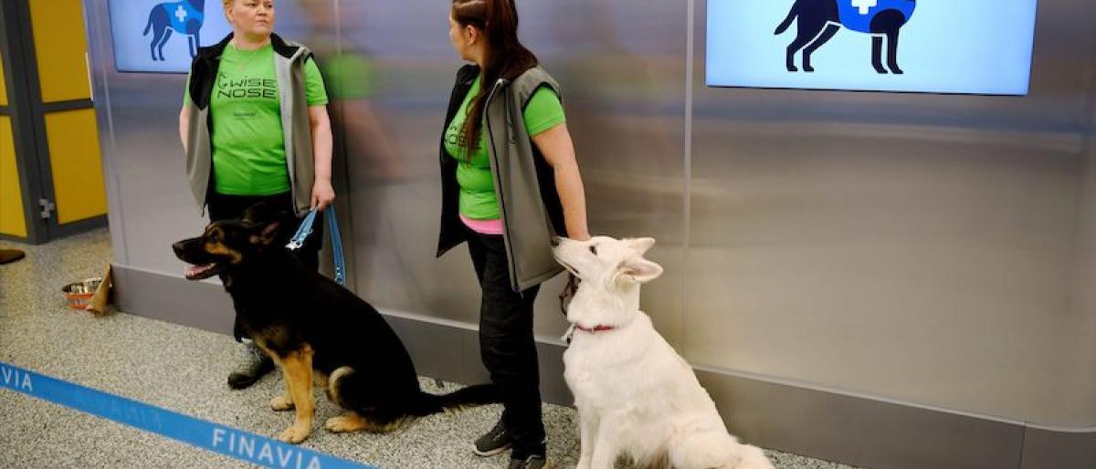 ����� �����: ������ ����� ������ ��� ���� 