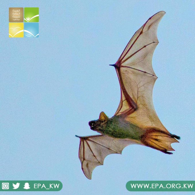 ������ɻ: �������� �������� ��� ��� ������� ��� �����.. ������� ���� ����� 10 ����� ���� �� ������� 