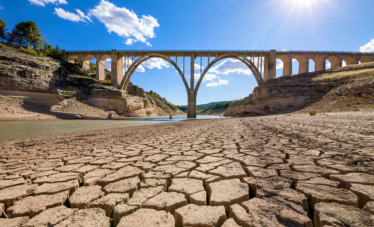 ����� ������ ����� ���� ���� �� ��� ����� ������� �� 20 �����