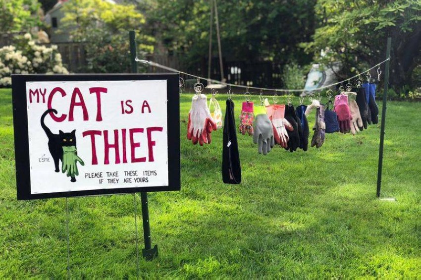 ���� ����� ����� ��������� ��� ���� ���� ���� �������