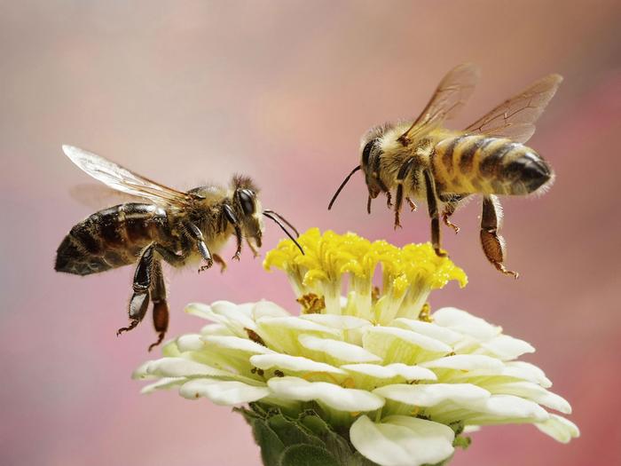 ������ ���� ������� ��������� �� ���� ������ 