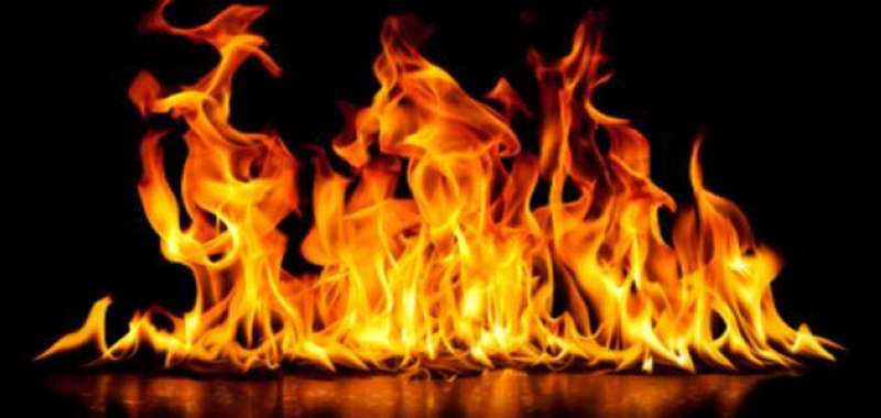 ���� ����� ��� ���� ������