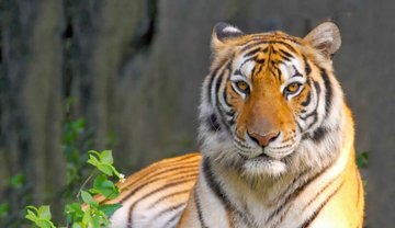 ������ ��� ��� ���� ����ѻ ��� ����� ����� 9 ����� �� �����