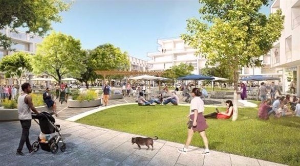 ��� ��� : ���� ������� ����� ������ �� ���������� .. �����