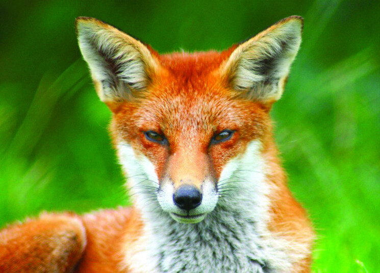 ������� ������� ���� �� ���� �� �����